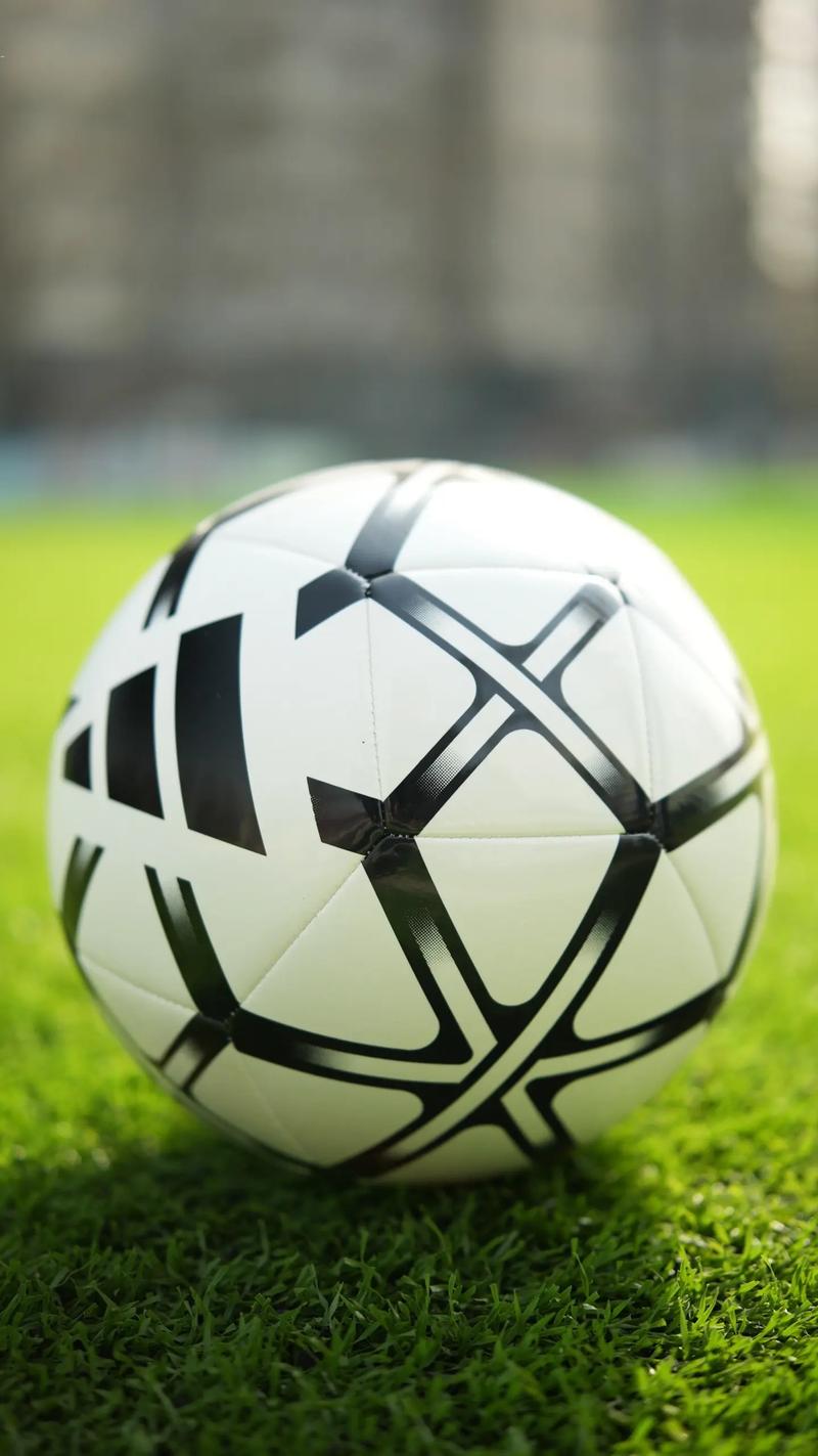 体育爱好者观赛场景